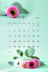 2024年3月カレンダー 　フレッシュなヘリクリサムとユーカリのデザイン（白バック・日本版）