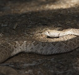 slither away