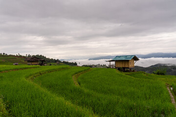 Fog in the middle of the valley in Pa Bong Piang village A rural village in the middle of rice terraces on a mountain. Beautiful green mountain range, grassland, Chiang Mai, Thailand