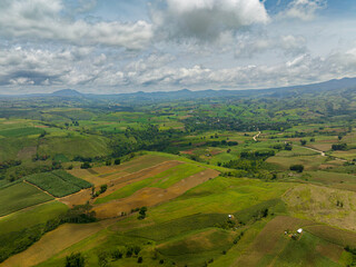 Fototapeta na wymiar Aerial view of agricultural land and paddy fields in Bukidnon. Mindanao, Philippines.