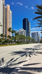 Sunny day in the city of Florida. Sunny Isles Beach, East of Miami. Tall buildings and palm trees are along the road. 