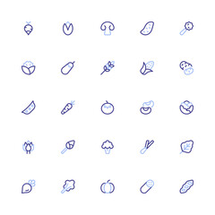 Vegetables Duoline 2D Icon Collection with Editable Stroke and Pixel Perfection