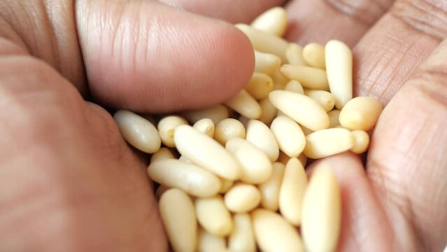 Healthy pine nuts on hand 