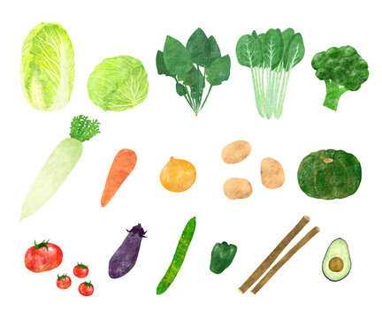 野菜の手描きイラストセット