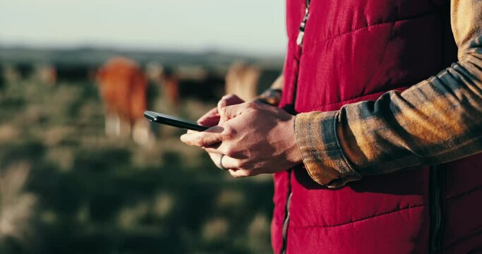 Hands, agriculture and man with a smartphone, field and connection with research, internet and sustainability. Person, farmer or guy with a cellphone, countryside or contact with website information