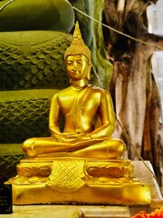 Buddha image , statues religious culture art ceremony.