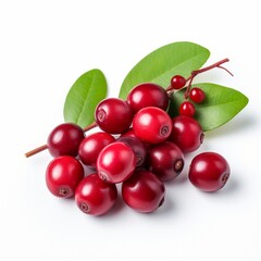 Ripe cranberries with leaves