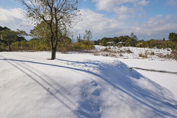 Obraz premium ふかふかの新雪