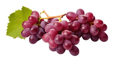 red grapes on PNG background .generated by AI