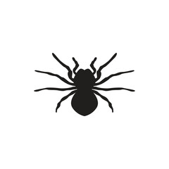 spider logo icon