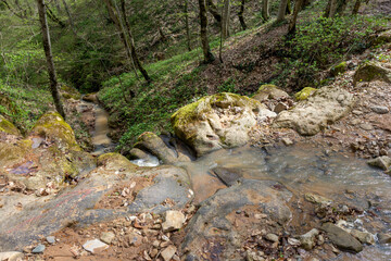 Spring, a stream in a wooded area, a stream of water rushes to a large river.