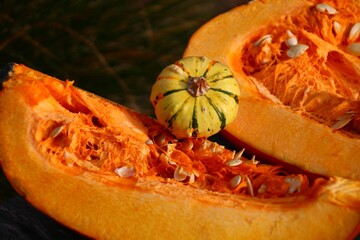 kürbis im garten ernte