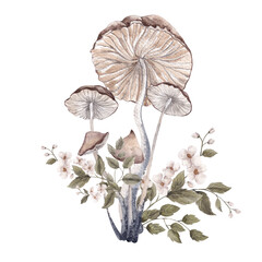 Watercolor composition with fairy mushroom. Autumn arrangements with flowers and leaves, isolated on white background