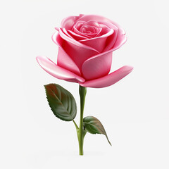 3d Realistic Pink Flower Rose Close Up icon. Decorative Blooming Garden Plant. Digital illustration for artwork design on neutral background 