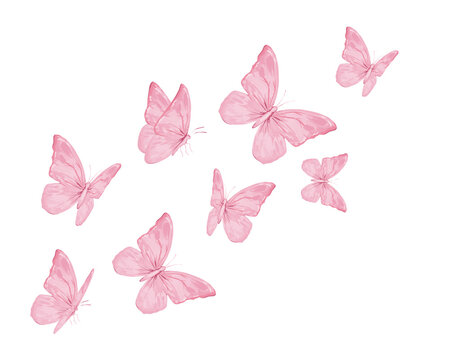 set of butterflies isolated on white	