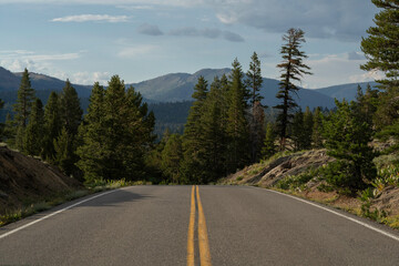 Paved mountain road in the summer.  Sierra Nevada Mountains.  