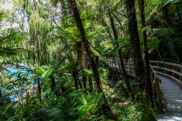 Obraz premium Hokitika Gorge in New Zealand.
