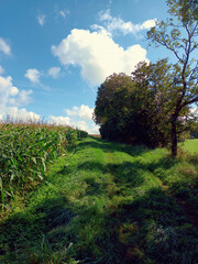 Landschaft im Hunsrück nähe Mittelstrimmig im Landkreis Cochem-Zell auf dem Wanderweg Traumschleife Layensteig Strimmiger Berg.