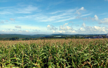 Landschaft im Hunsrück nähe Mittelstrimmig im Landkreis Cochem-Zell auf dem Wanderweg Traumschleife Layensteig Strimmiger Berg.