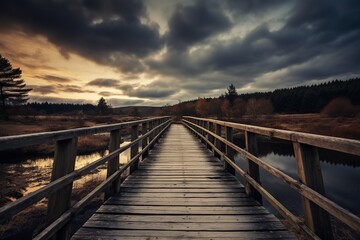 Fototapeta premium Landscape Photo of Wooden Bridge