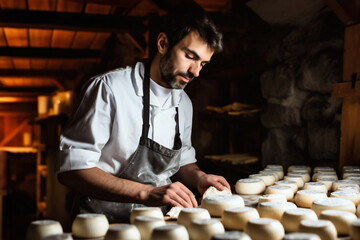 A man farmer checks the readiness of his homemade cheese. The cheese matures in the farmer's basement. Homemade cheese production. Natural product.