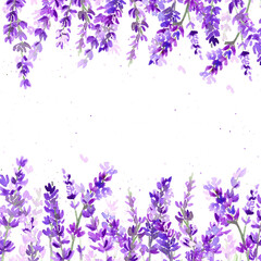 Watercolor lavender illustration for banner and poscard. Botanical elegant frame for invitation in provence style