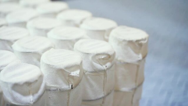 Several Rows of Industrial Sealy Bed Mattress Interior Comfort Rest Springs Pocket Coils in Cooling Cotton Furniture Sleep Fabric