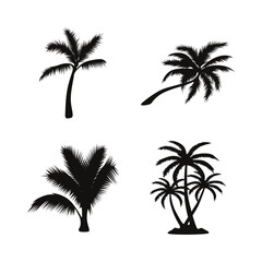 Palm Tree Silhouette Collection. Tropical Botany. Vector Illustration. 