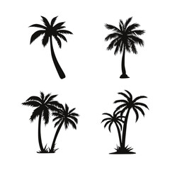 Palm Tree Silhouette Collection. Tropical Botany. Vector Illustration. 