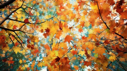 Trees shed their emerald attire, revealing a kaleidoscope of reds and yellows. Falling leaves natural background.