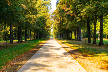 Naklejka premium Großer Garten Dresden