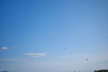 お正月に飛び回るたくさんの凧