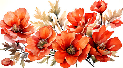 Watercolor flowers on a white background without shadows for illustration