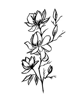 contour image of flowers on a white background