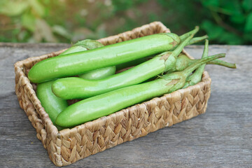 Fresh green long eggplants in basket. Concept, agriculture crop in Thailand. Food ingredient which...