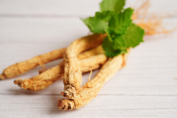Ginseng roots and green leaf, organic nature healthy food.