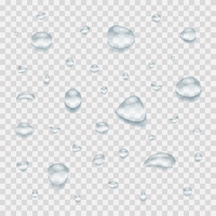Clear water drops on transparent background. Realistic water rain drops on window, shower steam condensation on glass.
