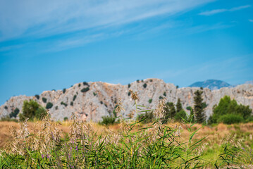 Fototapeta na wymiar Blue sky with lush greenery with beautiful rocky mountains in the background