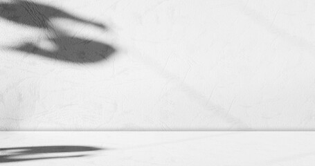 Shadow Background Floor Kitchen Concrete Wall White Texture Light Leaf Room Studio Product Sun Gradient Abstract Gray from Window Minimal Modern Photography Plant Summer Pastel Mockup Beauty Luxury.