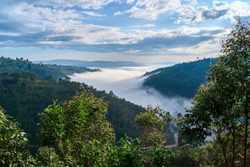 Morning mist in the hills outside Kibale, Uganda