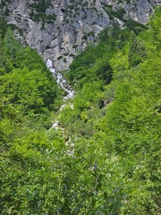 waterfall in the mountains