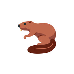 🦫 Beaver