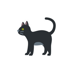 🐈‍⬛ Black Cat