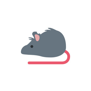 🐀 Rat