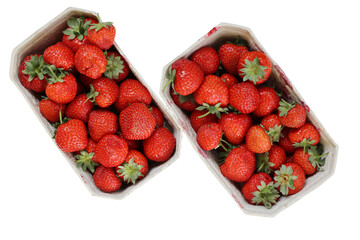 Two paper containers of Freshly harvested ripe garden strawberries in on a white background, top...