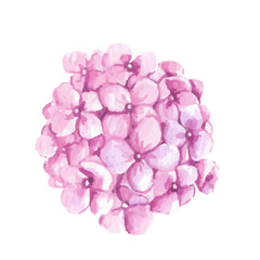 Obraz premium Flower Element Watercolor Illustration