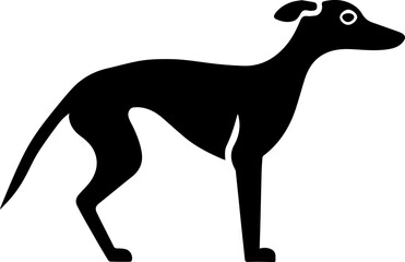 Italian Greyhound icon 1