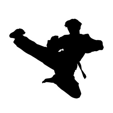 Silhouette of a male model doing martial art kick pose. Silhouette of a martial art kicking pose.
