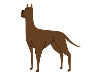 Obraz premium Great Dane dog. Pets, animals, canine theme design element in contemporary simple flat style. Vector cartoon Illustration isolated on the white background.