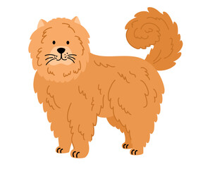 Dog. Chow chow longhaired variety. Pets, animals, canine theme design element in contemporary simple flat style. Vector cartoon Illustration isolated on the white background.